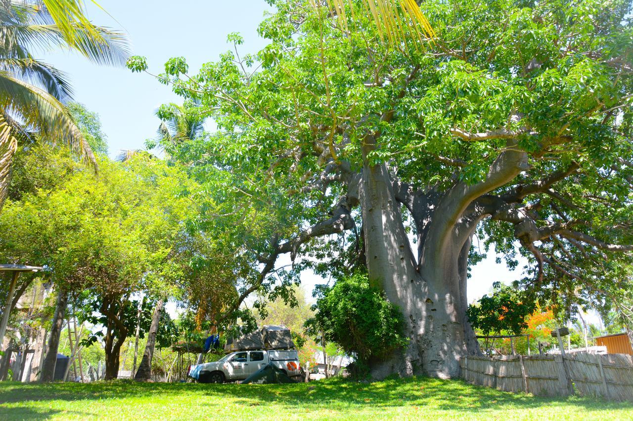 Baobab Beach Vilankulo Exterior foto